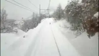 Un lupo corre sui binari in Abruzzo tra Sulmona e Avezzano nella neve