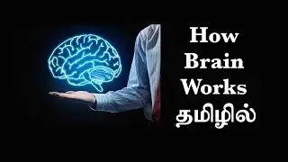 மூளை எப்படி வேலை செய்கிறது? (Ep7) Basic Psychology in Tamil
