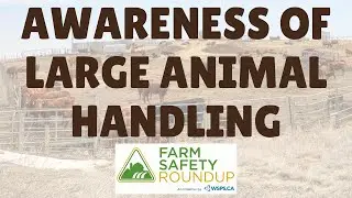 Farm Safety Roundup, Ep. 14: Planning and awareness of large animal handling with Chad Roberts
