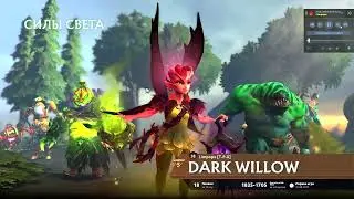 Dota 2 DW 4pos