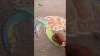 DRAWING A TURTLE 🐢 ✨️.