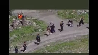 TTP video Goes Viral
