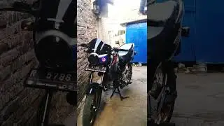 TIGER BAPACK COMEBACK #cjdw #fyptiktok #fypシ゚viral #cbsemarang #shorts #fypシ゚viral #herex