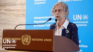 Moving Forward Together on the Plastic Pollution Treaty &ndash; Inger Andersen, UNEP Executive Director