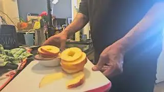 Cheap Dehydrator, Big Results? Magic Mill Review with My Kid + Apple Chip Taste Test!