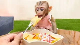 Monkey YuYu tried a Super Delicious Fruit Salad for the First Time
