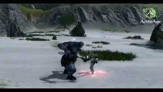 ArcheAge Combat Ability