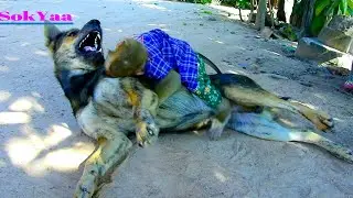 The Patient Limited ! Schuten Angry SokYaa Until Threaten Bad Sound, Poor
