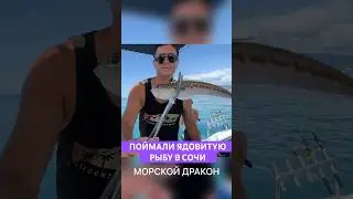 Поймали ядовитую рыбу в Сочи 😱 Морской дракон. Трогать нельзя. Распухнут пальцы и можно умереть