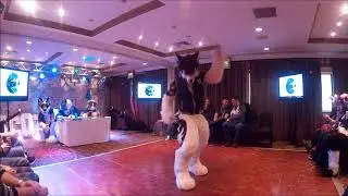 ScotiaCon Dance Competition - Dexter!