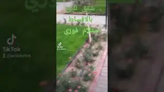 السلام عليكم #شقق بالاقساط استلام فوري في اربيل مجمع بيشنك تاور مجمع جديد نقد واقساط مجمع