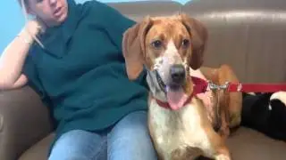 WDHA's Rock n Ruff with Dinah