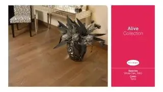 Mirage Flooring Showcase