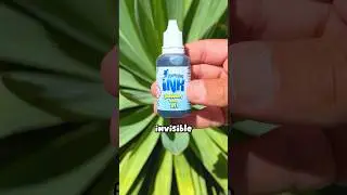 what Disappearing Ink looks like