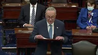 Chuck Schumer Gives First Speech As Majority Leader