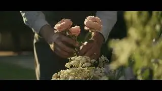 BERNARDAUD - Film publicitaire - Cheval (juin 2024)