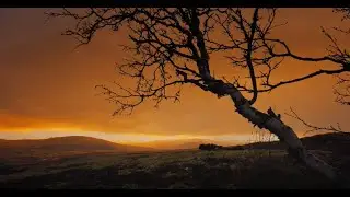 Was ist Wildnis? (Trailer) - Film von Jan Haft