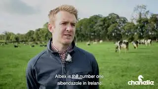 Albex 10% - Chanelle Animal Health