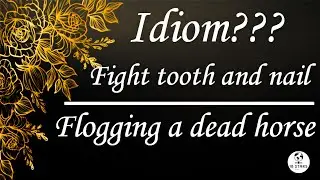 Fight tooth and nail | Fight tooth and claw | Flogging dead horse | Idioms&nbsp;