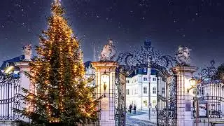 Urdu | English & German Music | Heart Touching Love Song | Romantic Melody | Melodies for Soul