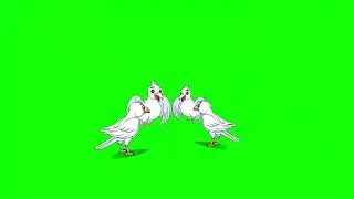 tony Bird||animation || कार्टुन #youtub @manojdey
