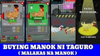 NABILI KO NA ANG MANOK NI TAGURO! / Manok na pula Game play/ IOS GAME/ ANDROID GAME