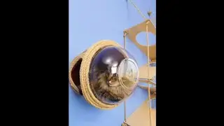 How to make a cathouse | Cathouse from the bucket | DIY video