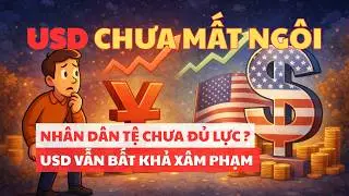 Ai Cũng Nghĩ Nhân Dân Tệ Sẽ Thay USD – Nhưng…