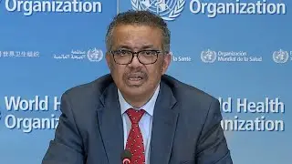 WATCH: World Health Organization delivers update on global spread of coronavirus