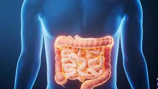 Houston doctor explains connection between gut microbiome and cancer