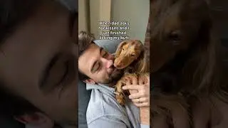 This is actually my biggest fear as someone who loves dog kisses🥴 #dachshund #puppy #wienerdog