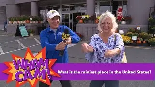 What is the rainiest place in the United States? | WHAM CAM