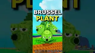 Новое растение брюссельской капусты в Plants Vs Brainrots Roblox