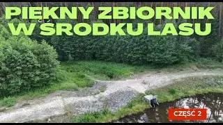 ZBIORNIK WODNY W GŁĘBI LASU. RAPY DYLAŃSKIE CZĘŚĆ 2. Wersja poprawiona