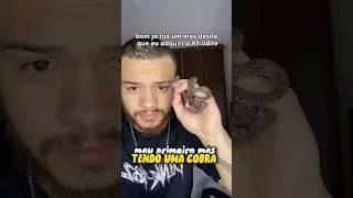 MEU PRIMEIRO M&Ecirc;S TENDO UMA COBRA DE ESTIMA&Ccedil;&Atilde;O | wildboppre #shorts