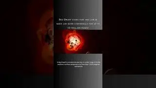Space fact - 117 (red dwarf star) #space #shorts #einstein #education #reddwarf #star