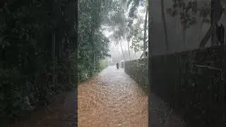 kerala rain news today | kerala rain news today live | കണ്ണൂരിൽ മഴ | #keralafood #keralarain #kannur