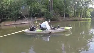 Georgia Largemouth Bass
