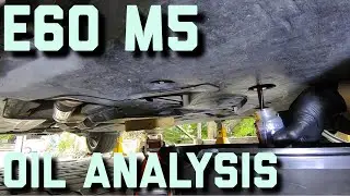 BMW E60 M5 Oil Analysis   #S85V10 #BMWV10
