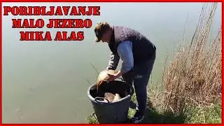 Poribljavanje malog jezera Mika Alas