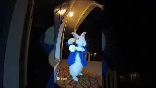 All roads lead to Rome&hellip; 🐇⏱️ #aivideos #sora #ringdoorbell #whiterabbit #meme