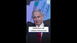 Middle East will &lsquo;collapse without Israel'
