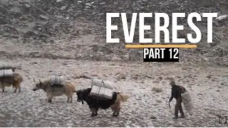 Everest: Snow falling in Lobuche | Climbing Mount Everest &ndash; Part 12