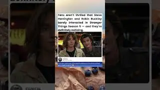 Fans aren&rsquo;t thrilled that Steve Harrington and Robin Buckley barely interacted in Stranger Things