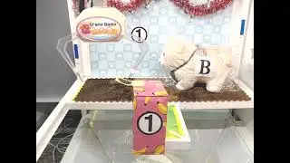 Toreba Win ~ Faithful Mochishiba ~ Loop Box