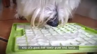 Dog Lick Pad for Pet Bathing, Grooming, and Dog Training