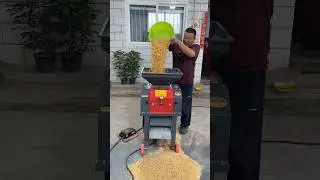 best animal feeding machine and corn crushing machine #viral #automobile #machine