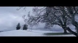 Carter-FIlms / Spot www.carter-films.com