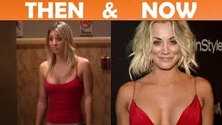 The Big Bang Theory Cast Salary & Net Worth | Then And Now