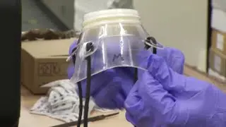 Virginia Tech researchers create reusable N95 mask alternative